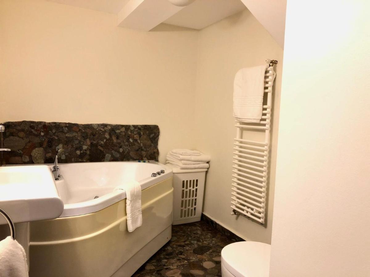 Aristocrat Vintage Apartment 布拉索夫 外观 照片