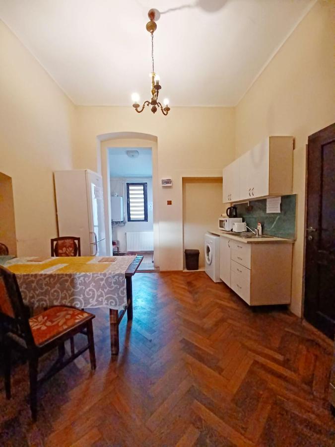 Aristocrat Vintage Apartment 布拉索夫 外观 照片